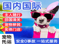 长治空运代理国际宠物托运 【国